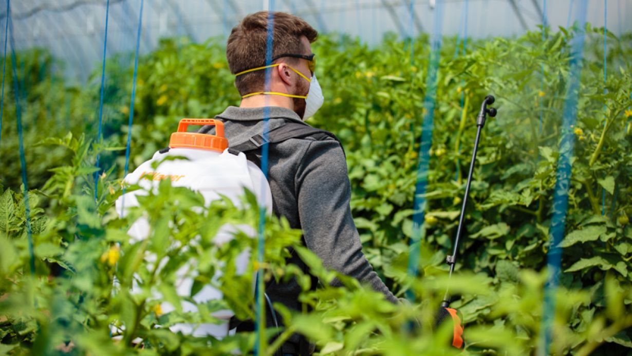 Battery-powered sprayers