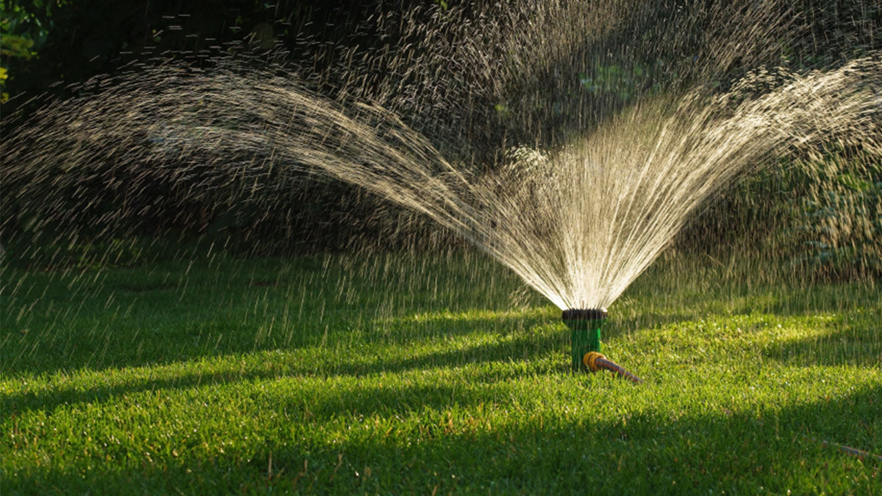 Watering the lawn