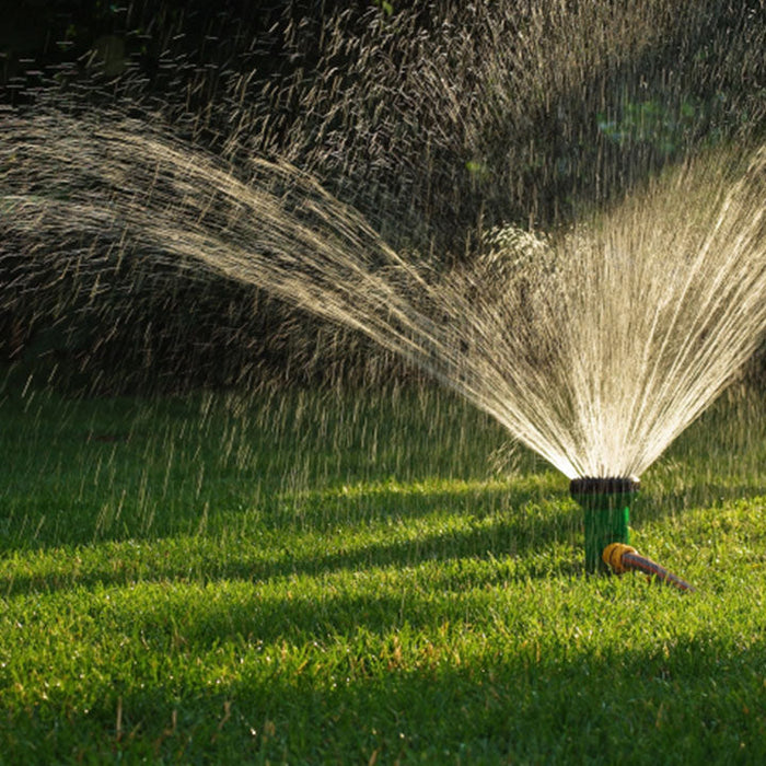 Watering the lawn